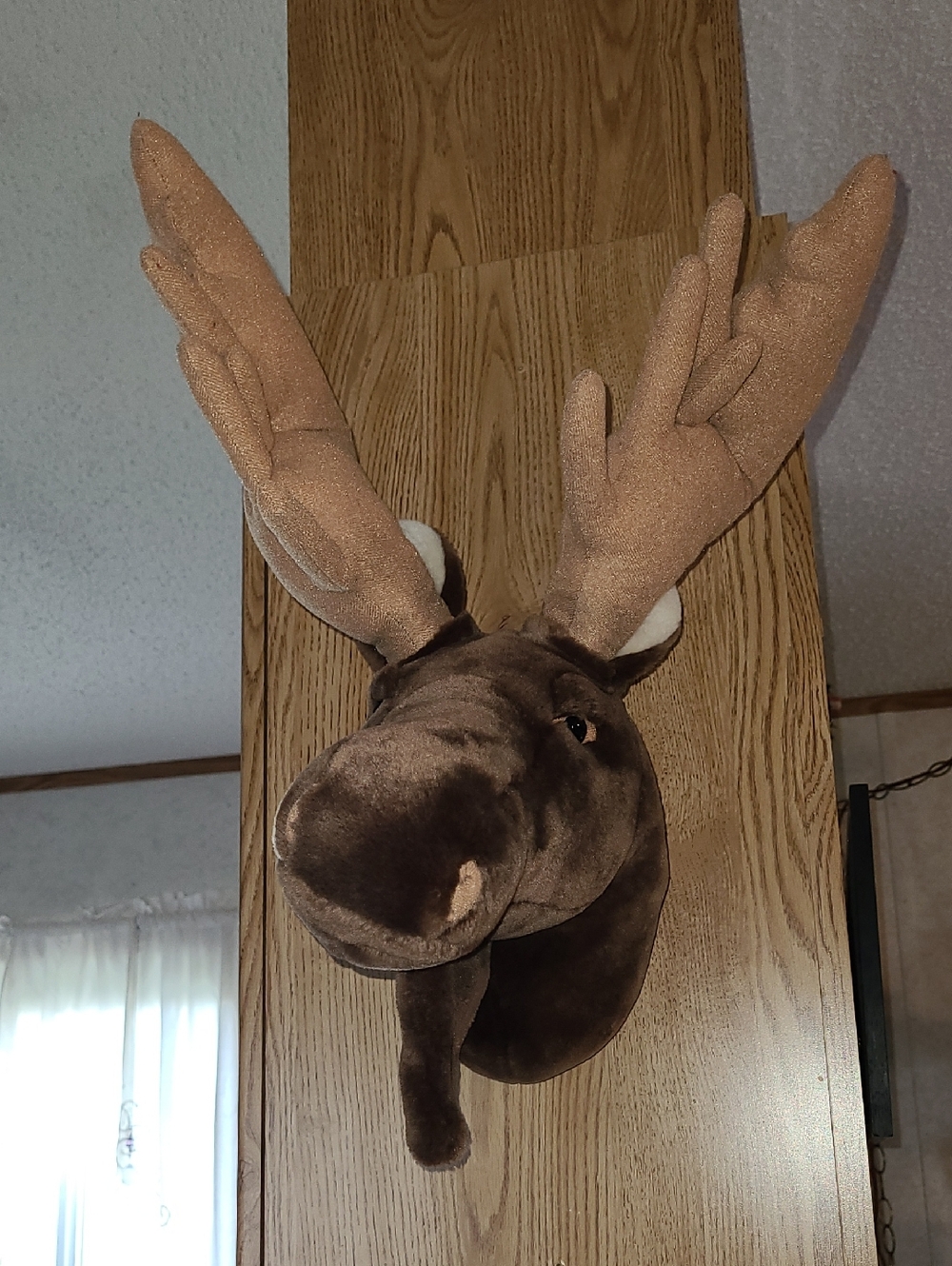 Bass Pro Shop's Plush Wall-Mount Moose Head - Brown